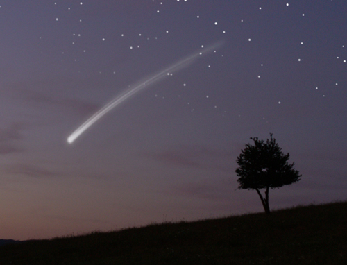 shooting star and tree